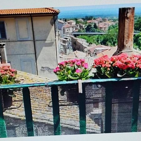 Apartamento La Casa Del Sole Caprarola Exterior foto