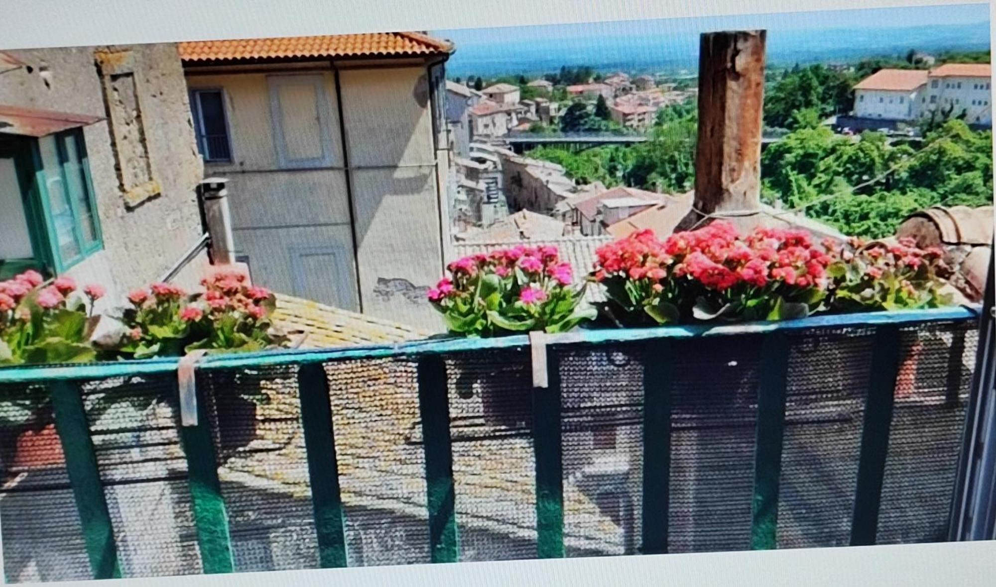 Apartamento La Casa Del Sole Caprarola Exterior foto